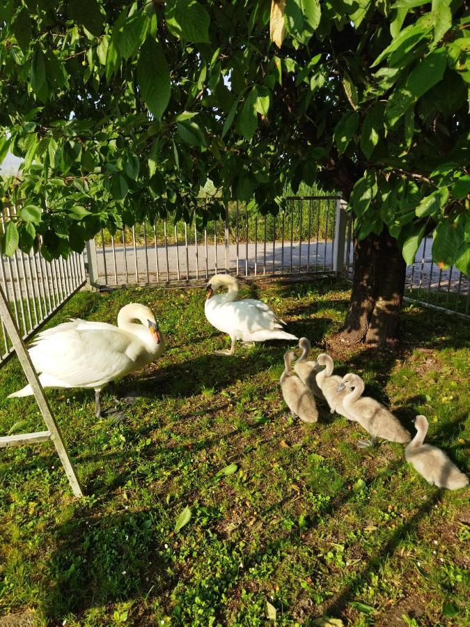 Apartman Na Jezeru Zagreb Luaran gambar
